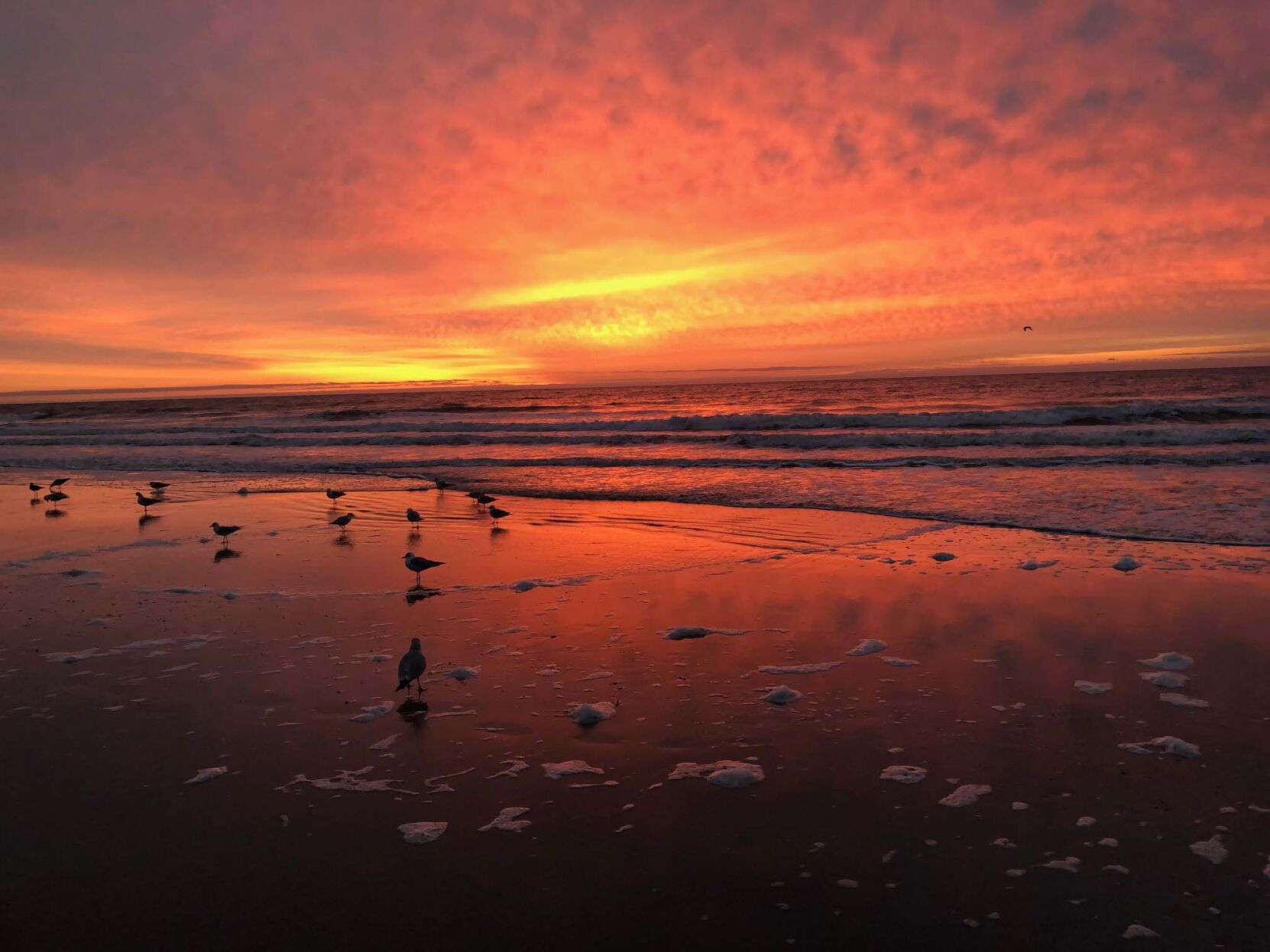 Nature's magic